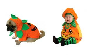 Disfraz de calabaza para bebé y perro Halloween